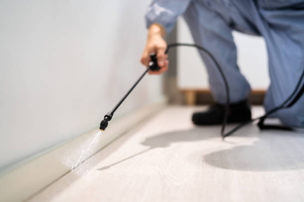 Licensed Termite Control service in Triangle, VA - Show Me Pest Control